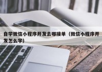 自学微信小程序开发去哪接单（微信小程序开发怎么学）