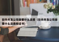 软件开发公司需要什么资质（软件开发公司需要什么资质和证书）