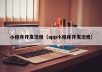 小程序开发流程（app小程序开发流程）